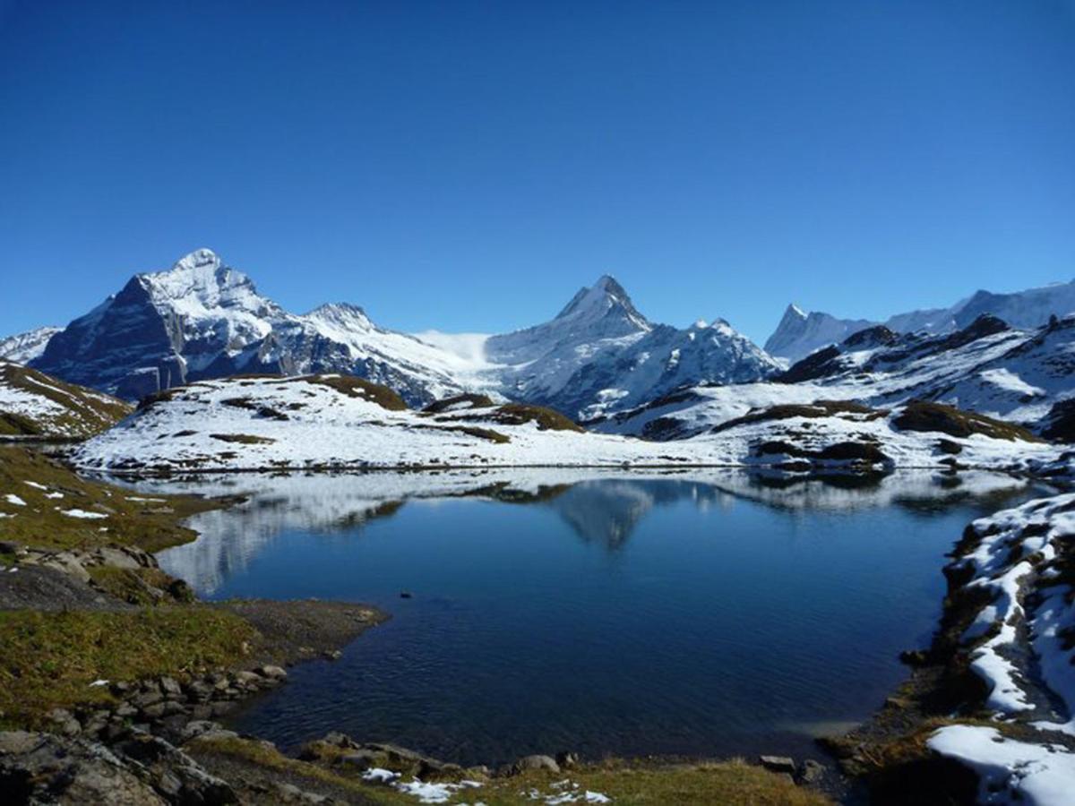 Апартаменти Luxury, New - Amazing Views Grindelwald Eiger Jungfrau Moench Екстер'єр фото