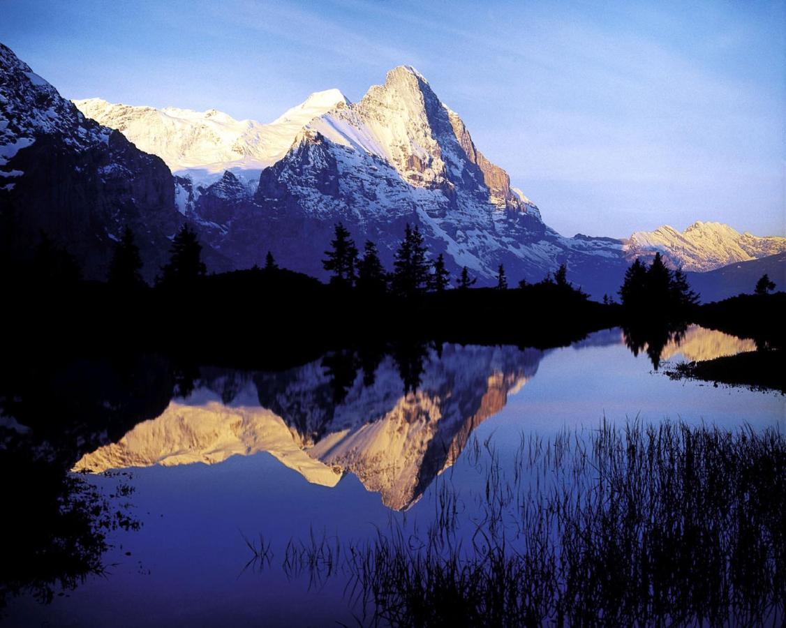 Апартаменти Luxury, New - Amazing Views Grindelwald Eiger Jungfrau Moench Екстер'єр фото